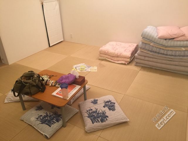 碉堡｜日本关西深度游最详细攻略！体验全日本最美的小渔村，吃嗨