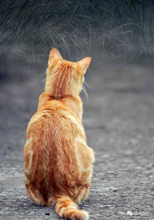 王力宏新歌好惊悚，歌词是他和某些歌手的大规模*伤杀**性*器武**