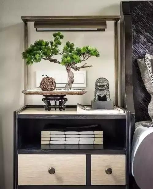 花卉摆放位置有讲究,风水上可以招财的花卉植物