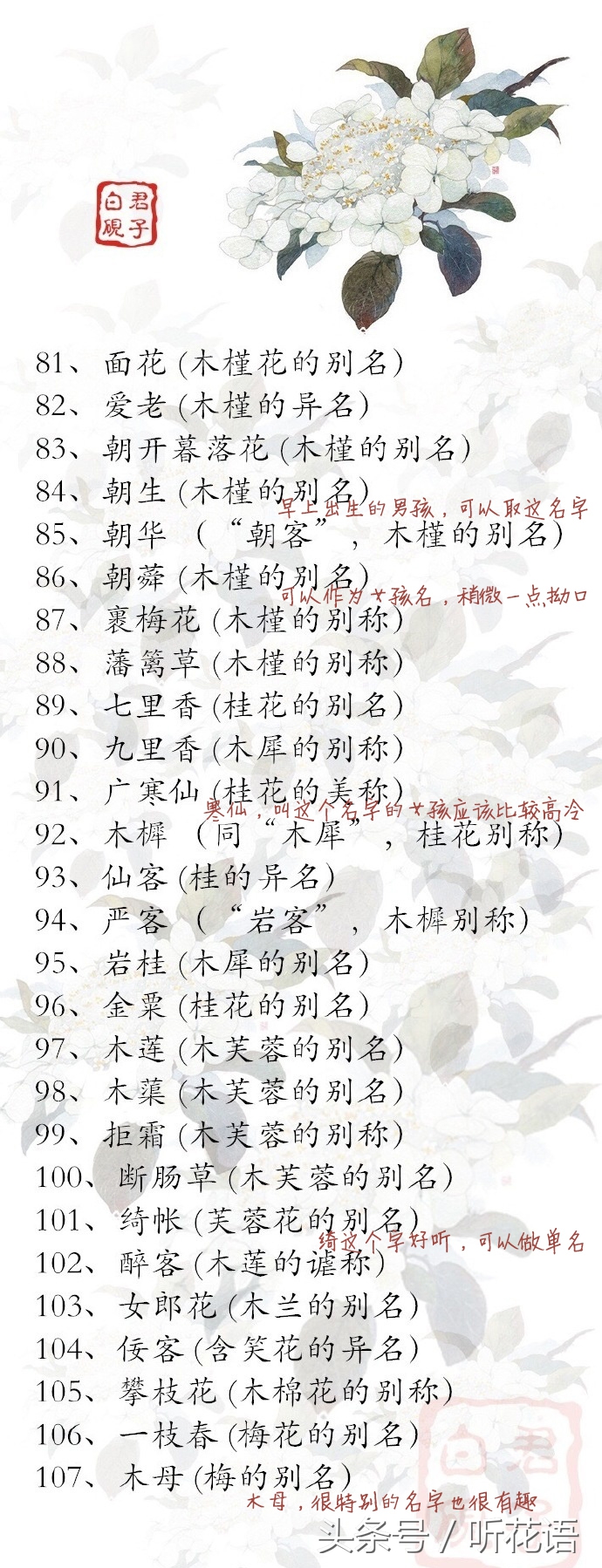 花的别称一个字,给孩子取一个寓意很健康的名字