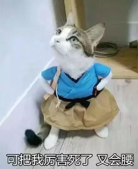 澳门四六级报名费,香港考四六级