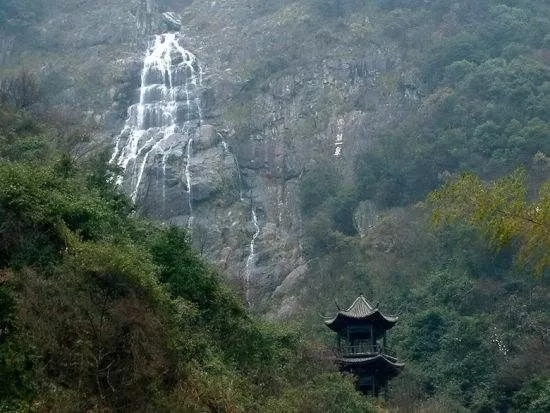 庐山云雾茶内容概述,庐山云雾茶的特点有哪些