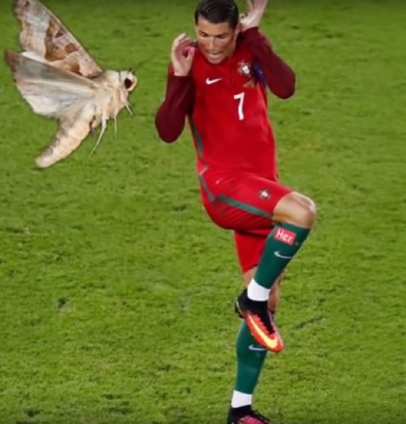 不信你不笑搞笑剪辑,不信你不笑的搞笑片段