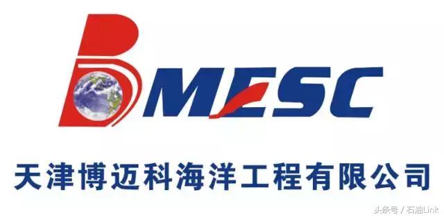 石油企业排名,国内石油公司排名前十是谁