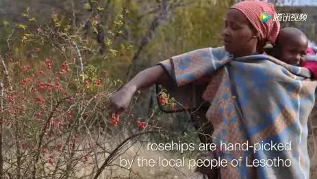 肌肤较干秋冬精华,秋冬不粘腻的精华水