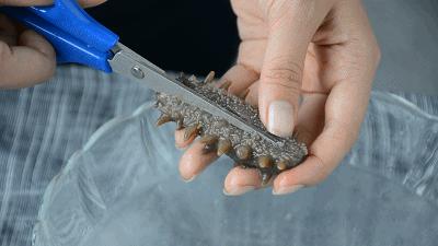 海参真实的营养价值,专家揭秘海参的真实营养价值