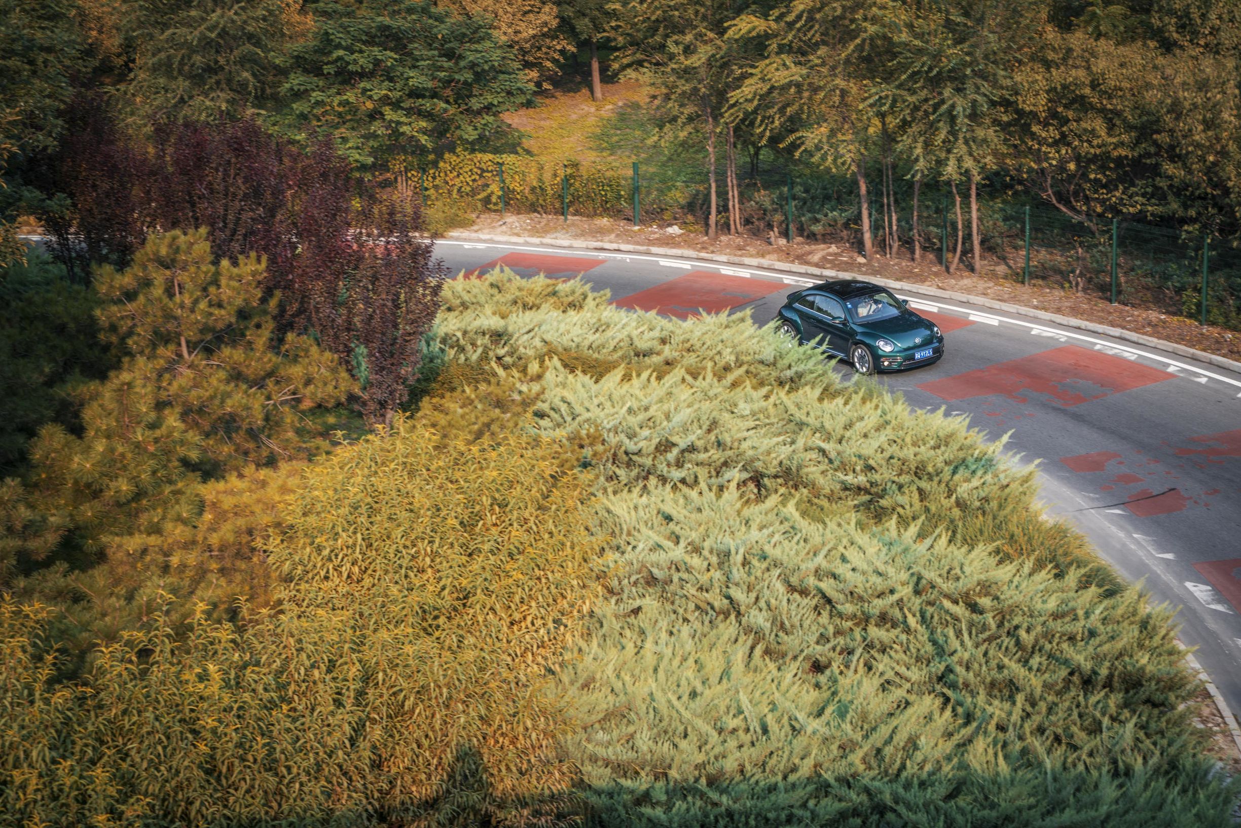 秋日里的竹璃绿｜大众甲壳虫