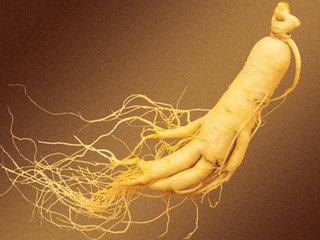 保鲜人参泡酒的正确方法和功效,鲜人参带土的好还是用酒保鲜的好