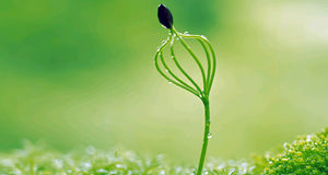 孩子沉迷网游学习下降,孩子沉迷网游辍学怎么办