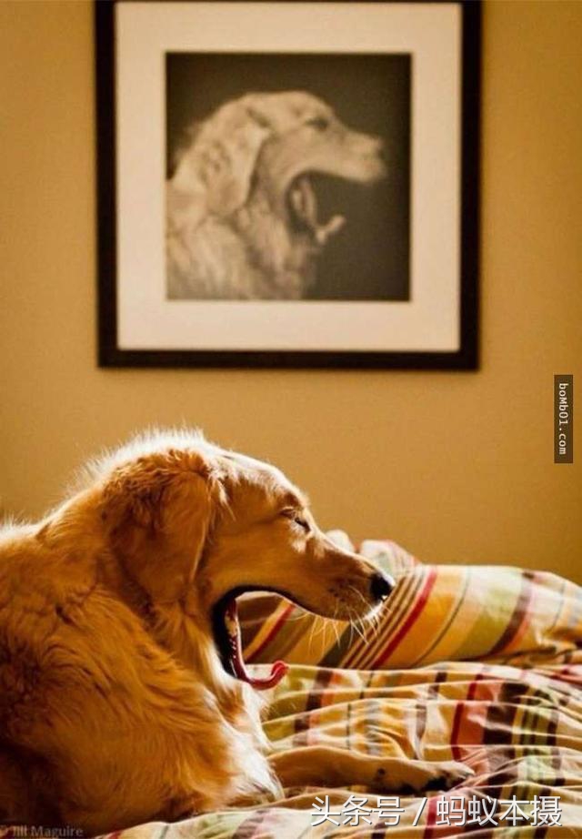 30张你一辈子也拍不到的照片,十种你一辈子都拍不到的照片