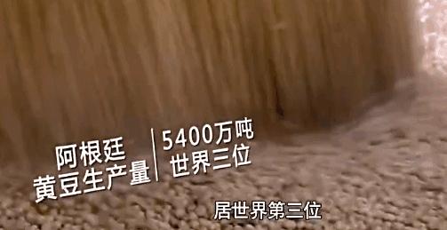 从撤侨行动中,管窥中国的强大实力|《大道中国》