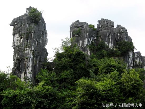 中国百强县山东省潍坊市诸城市,青州百强县排名