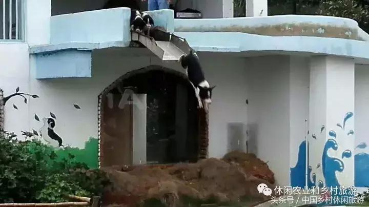 农村休闲农业17种卖点值得收藏,休闲农业与乡村美食