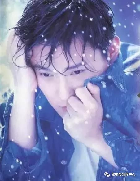 张信哲捡破烂开飞机,张信哲养的宠物