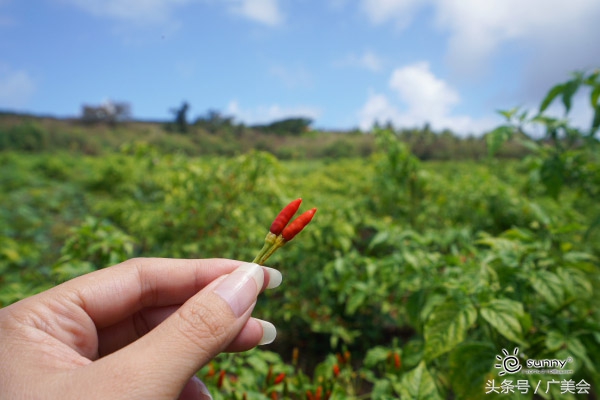 避暑策划海陆空畅游美国塞班岛