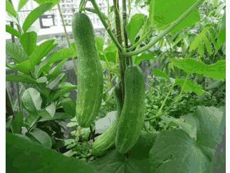 中秋送礼不用月饼送什么,中秋节送礼月饼配啥好