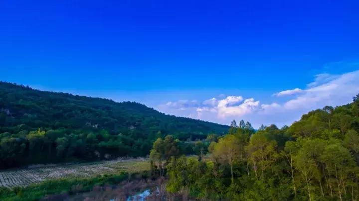 宁县子午岭简介,宁县子午岭图片