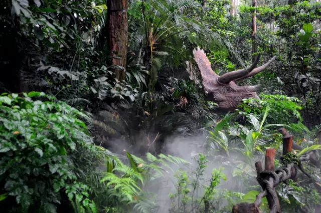 广州长隆野生动物园吃东西攻略,广州长隆野生动物园吃喝攻略