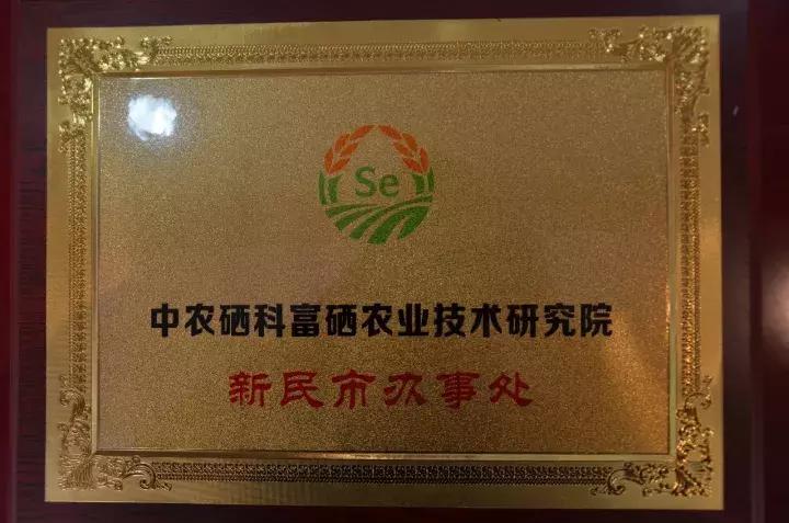 富硒农业将新民散落的珍珠串成项链!记京沈合作新民农业项目系列合作对接洽谈(二)