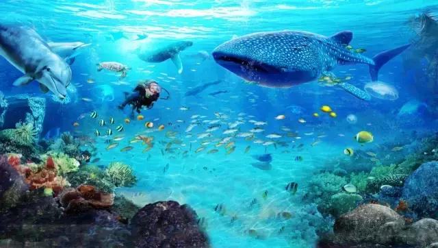 带娃广州长隆旅游攻略,广州珠海长隆攻略亲子游5天