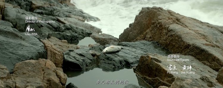 国庆出游指南之跟着感觉走,跟着电影去旅行国内一日游