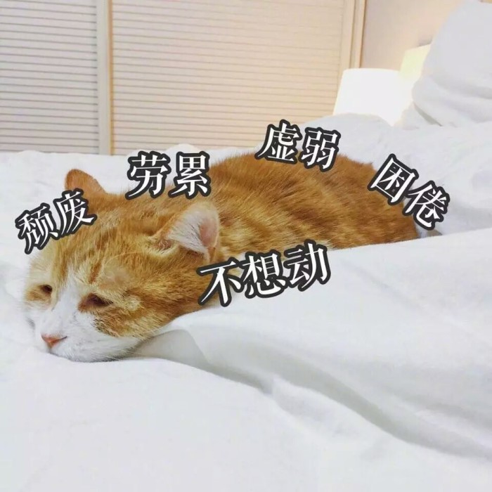 出现什么症状预示着怀孕了,出现这几种征兆说明你可能怀孕了