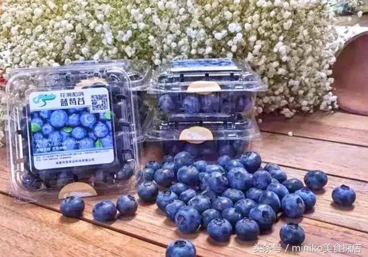 成都周边农场推荐,成都周边最有特色的农场