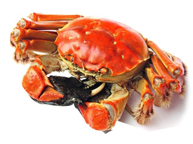 多元消费新业态,消费新业态