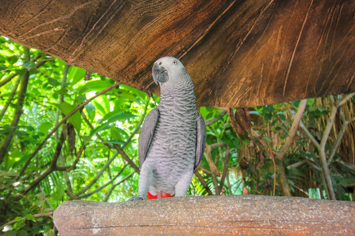 带着寻宝记游遍祖国大好河山,带着挖机去海边度假
