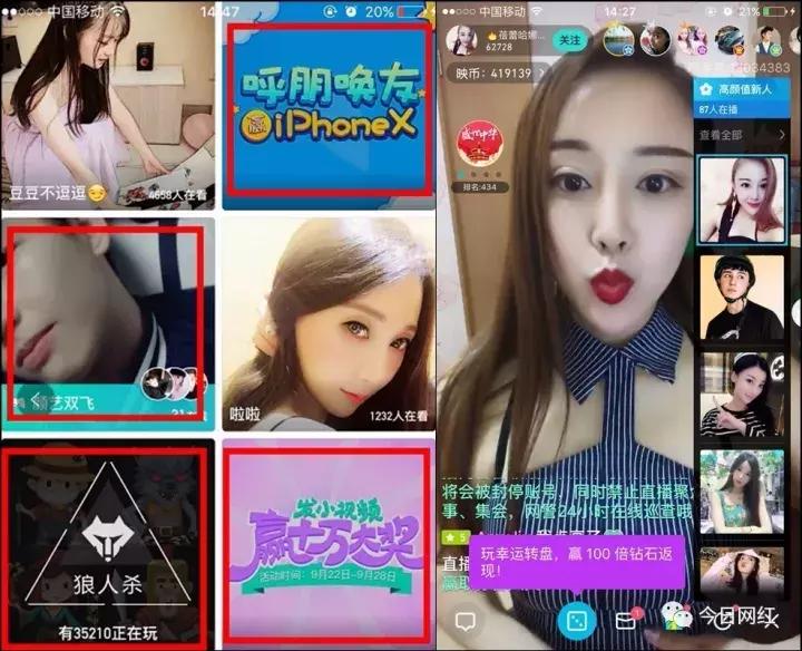 映客花椒平台哪个好,映客直播和花椒直播