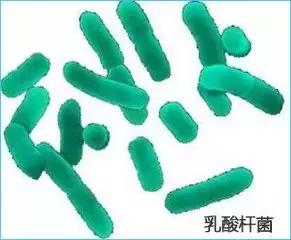 *处私**瘙痒,别再盲目用洗液清洗外阴!