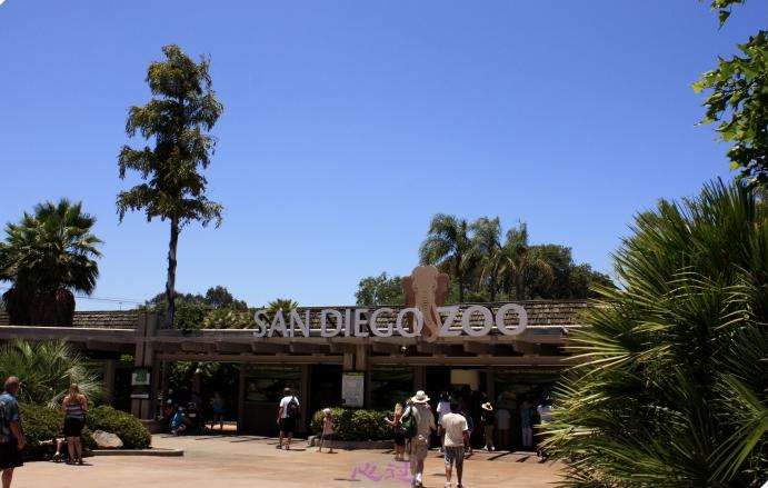 最受欢迎的动物园排行,世界上动物最全的动物园