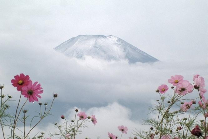 精美ppt制作速成技巧,怎样把ppt做得精美简洁大方