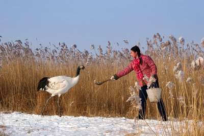 一个真实的故事原创,一个真实的故事有几个版本
