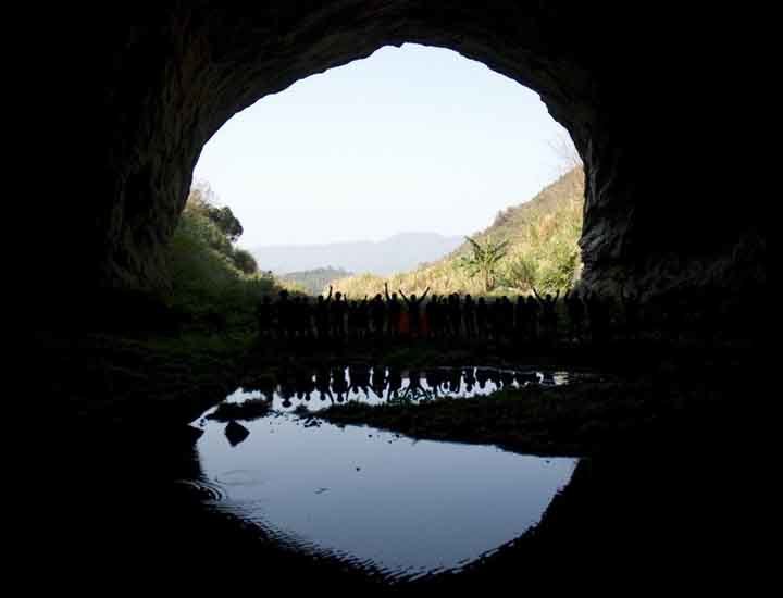 那一片花海原版视频,那一片香雪海