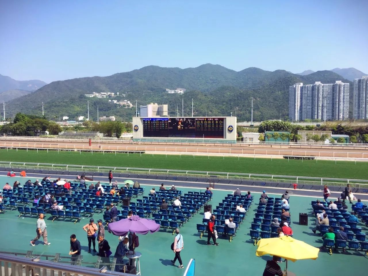 去香港住哪吃美食最方便,去香港吃美食住哪里最方便