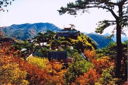 北京不容错过的赏花路线,北京香山红叶林观看最佳时间