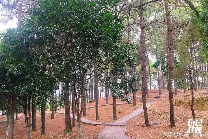 久违了,我的桂林电子科技大学!