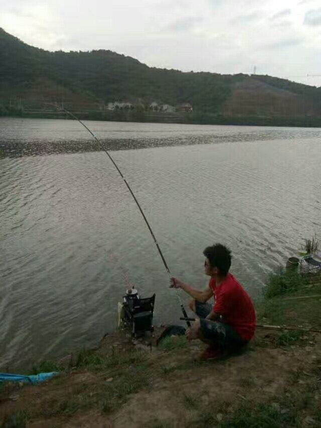 野钓三十斤大鲤鱼,小伙钓100斤大鱼视频