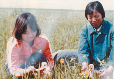 一个真实的故事原创,一个真实的故事有几个版本