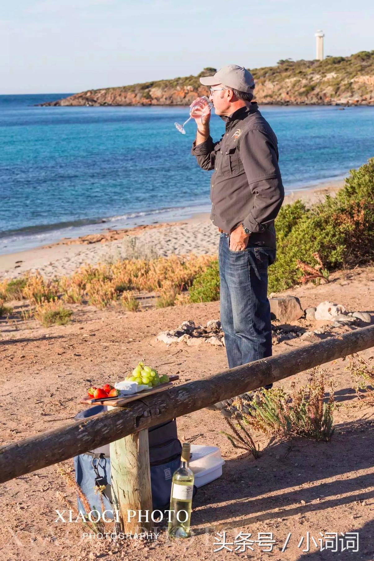 玩转南澳大利亚，这篇最全旅行攻略一定可以帮到你