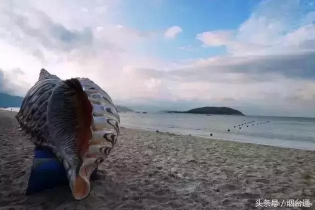 青岛观海哪里最好,青岛海边城市在全国排名