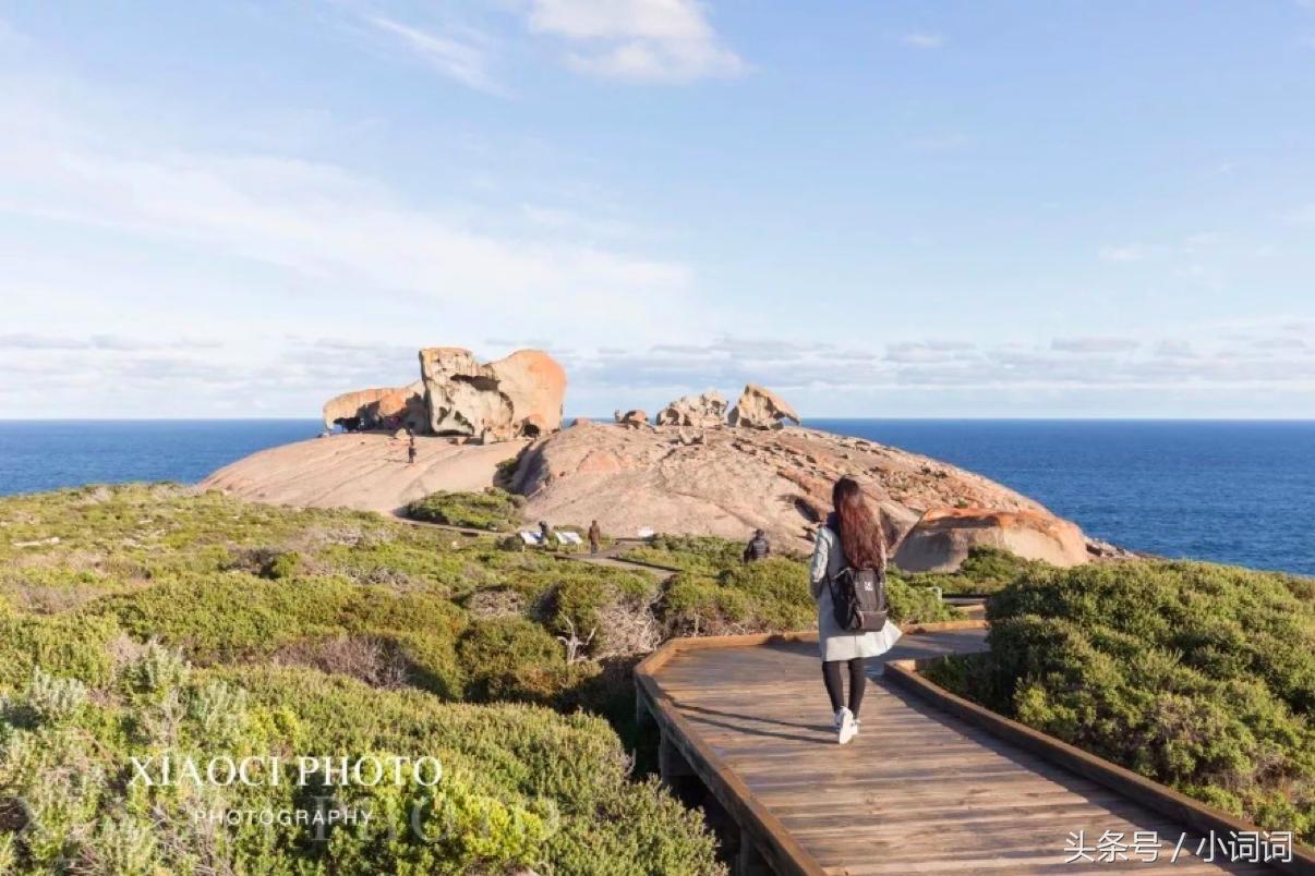 玩转南澳大利亚，这篇最全旅行攻略一定可以帮到你