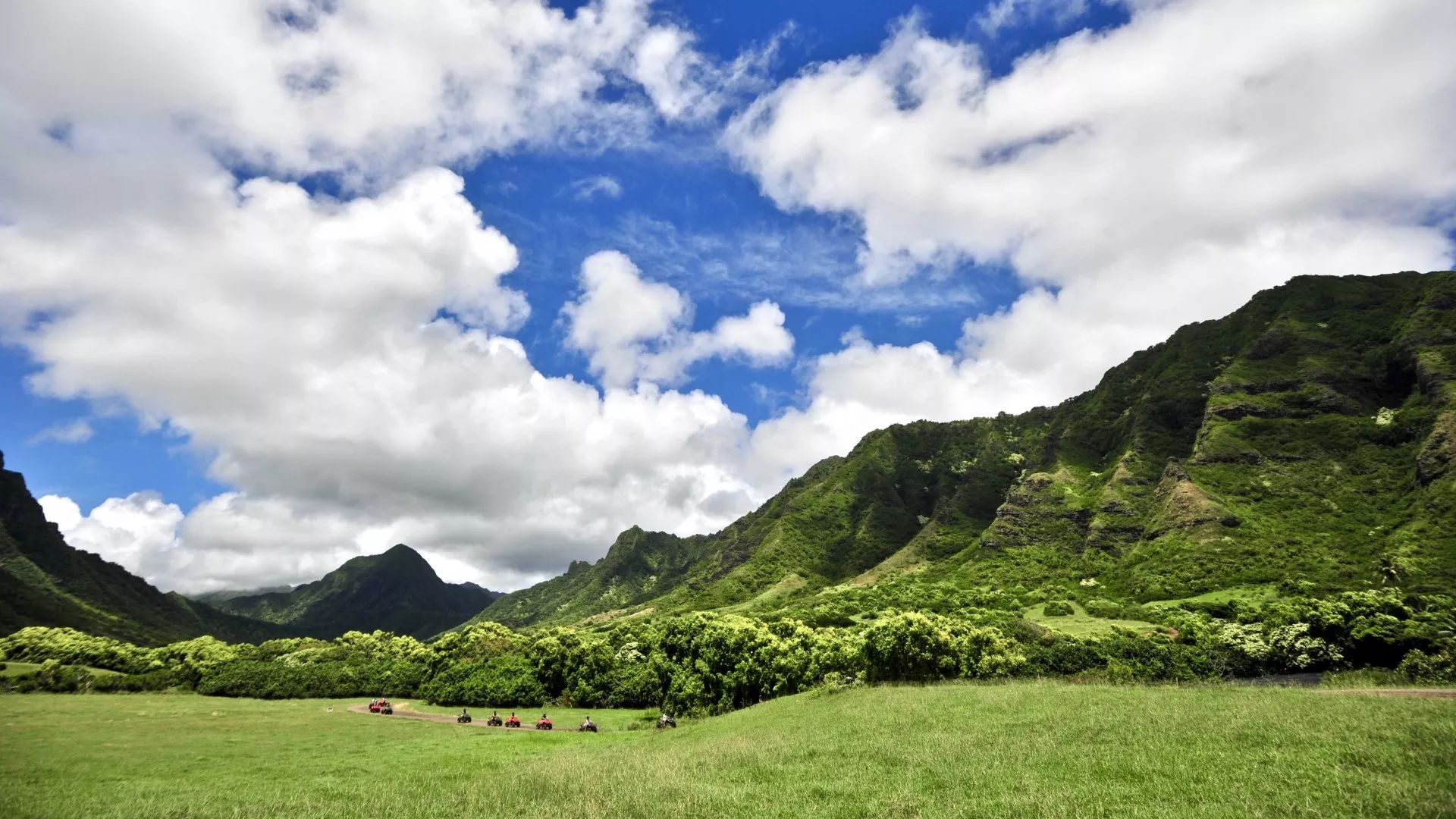 一封来自家乡的邀请函,夏威夷发来的邀请函