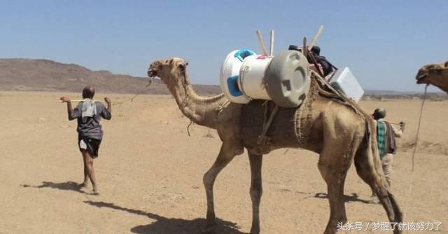 中国制造加油点赞,中国制造加油