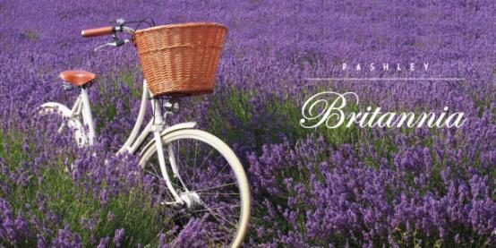 玩转复古时髦纯正英国血统的“Pashley”，现已正式登陆上海