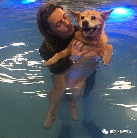 流浪狗被抛弃后又不幸得重病,流浪狗生病被救助