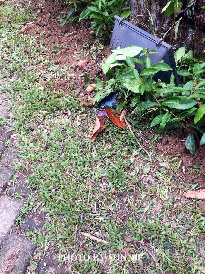 北纬十八度之三亚,北纬18度的旅行三亚游记