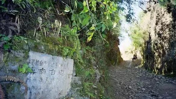 云南最美公路自驾出行攻略,自驾去云南沿途的风景美不胜收