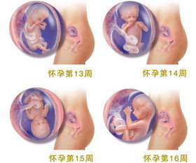 怀孕四个月母亲有什么症状,孕妈妈常见的五个表现